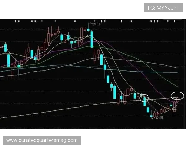 江南体育开户平台全面升级助力本地体育产业快速发展